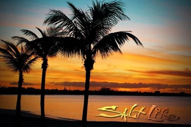 My Salt Life On Pinterest