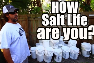 How Salt Life Are You?   YouTube