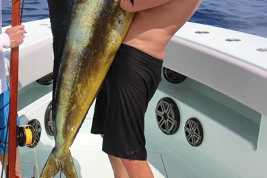 Salt Life Blog: David Cobia Collier And His Team Advanced Roofing ...