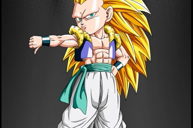Gallery For   Dragon Ball Z Gotenks 3