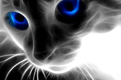 Top Free Wallpapers For Desktop Of The Year