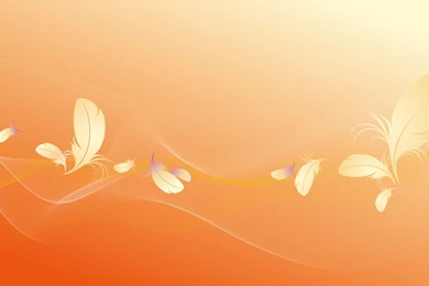 Colorful High resolution Backgrounds 24381   Celebrity Symphony ...