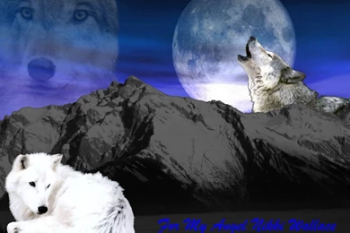 Dogs Twilight Howl Canyons Mountains Nature Puppies Dogs Animals ...