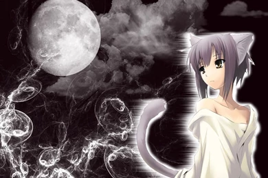 Neko   Lexiomega Wallpapers (31159392)   Fanpop