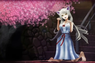 Neko Computer Wallpapers, Desktop Backgrounds