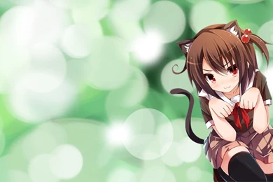 14 Neko Girls HD Wallpapers