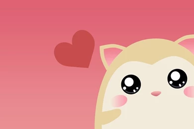 Lovely Raccoon Wallpapers By Neko 13 On DeviantArt