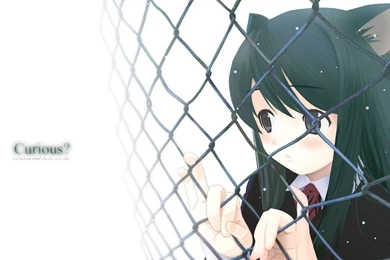 Curious? Neko Anime Characters Wallpapers (7368623) Fanpop Page 9
