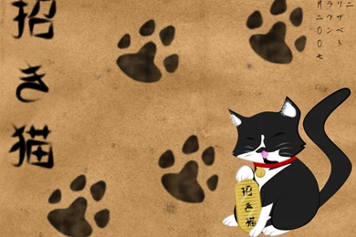 Neko Wallpapers   Wallpapers Cave