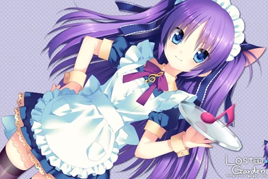 Sakura Neko Sasasegawa Wallpapers HD