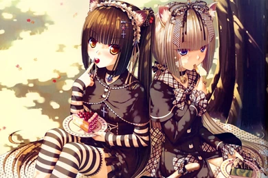 10 Neko Paradise HD Wallpapers