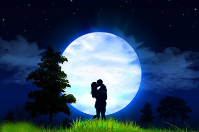 Trololo Blogg: 3d Wallpapers I Love You