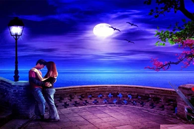 Dolphin Hd Wallpapers Free Download 3D