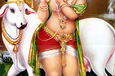 Murli manohar krishna hd wallpaper.jpg