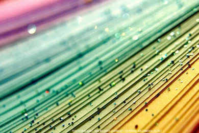 Welcome To Planet Jaipur