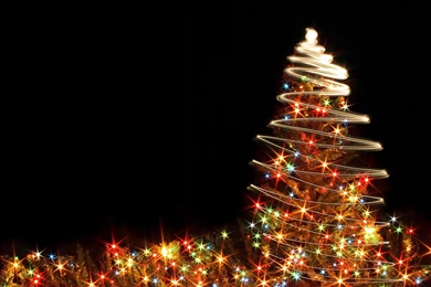 Desktop Wallpapers · Gallery · Miscellaneous · New Year Pine