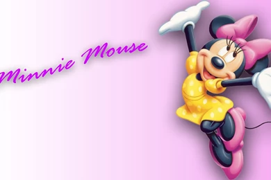 Minnie mouse 88430.jpg