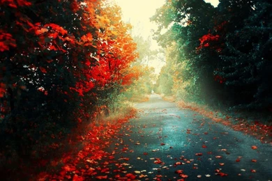 Desktop Images, Colorful Backgrounds, Art, Cool, Paints, Textures ...