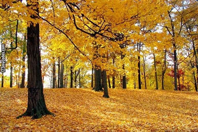 Latest Desktop Wallpapers, Beautiful Desktop Wallpapers, 3D ...