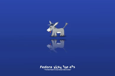 Humorous Wallpapers Wallpapers Cave