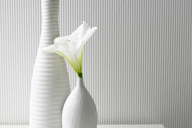 Wallpapering Over Damp Patches