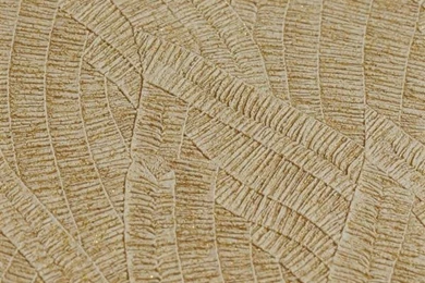 Heavy Textured Wallcovering 2015   Trending Wallpapers HD