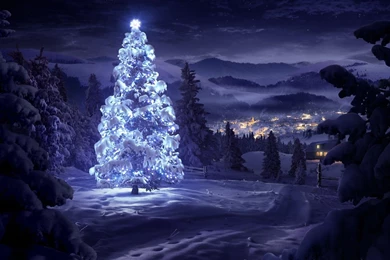 Beautiful Christmas Tree Wallpapers 34.jpg
