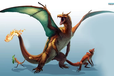 Charizard   Pokemon Wallpapers   Game Wallpapers