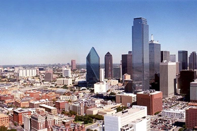 Dallas Tx Skyline   (