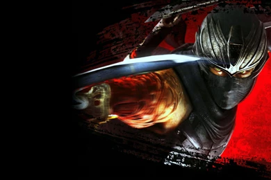 44 Ninja Gaiden HD Wallpapers