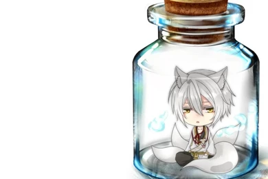 WHITE FOX IN THE JAR WALLPAPER   (