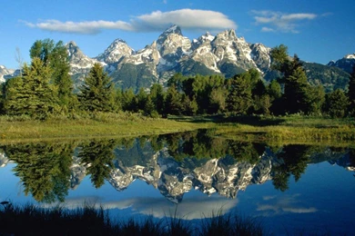 Nature Wallpapers For Mobile Free Download   HD Wallpapers And Pictures