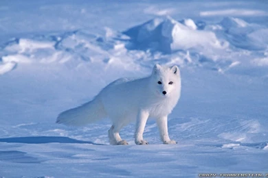 State Something Completely Random Time!" [Archive]   Page 88 ...