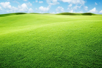 Green Landscape Wallpaper 3.jpg