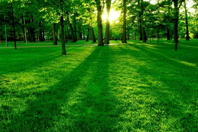 Best 4k HD Wallpapers X318I Wallniku HD Wallpapers