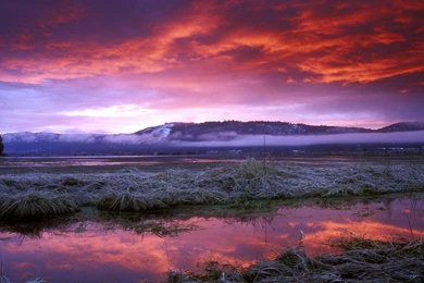 Download Landscape Wallpapers