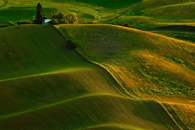 50 Eco friendly Desktop Wallpapers