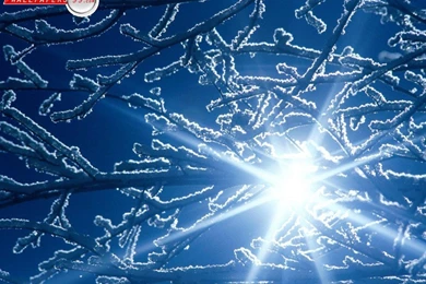 Winter Scenes Wallpapers   Wallpapers Cave