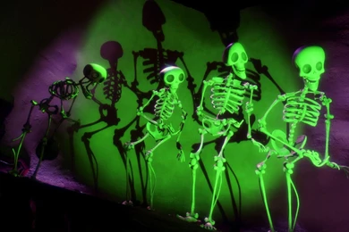 Corpse Bride Wallpapers 234829