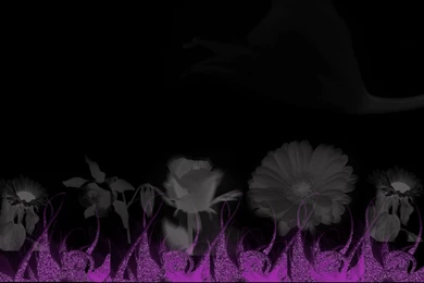 Plain Black Pictureand