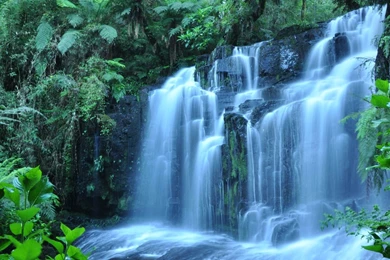 January 2011 Archives Free Screensavers And Backgrounds