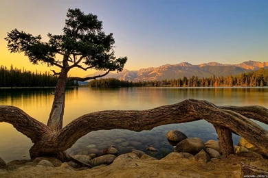 Beautiful Nature Wallpapers Full Hd Wallpapers Search Page 7