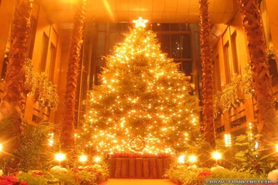 Crazy Frankenstein Christmas Tree Wallpapers Wallpapers Desktop ...