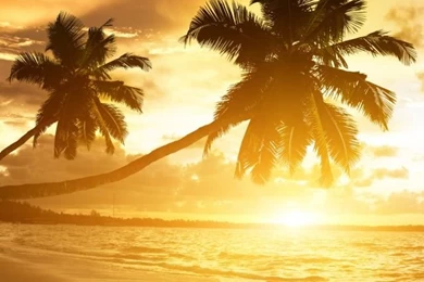 Amazing HD Desktop Wallpapers : High Definition : Fullscreen ...