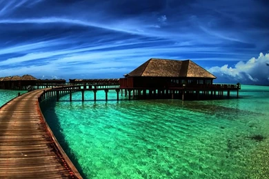 Amazing iPad Wallpapers