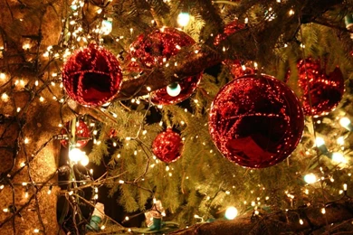 Christmas Tree   Wallpaper.