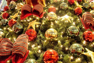 Decorated Christmas Tree Wallpapers And Images   Wallpapers ...