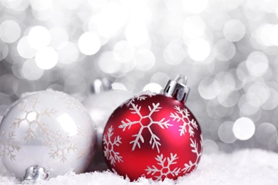 Christmas Flower Bulb Wallpapers