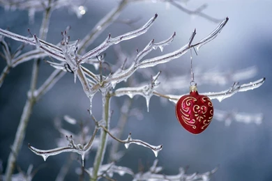 Colorful Christmas Ornaments Wallpapers 31104   Christmas   Festival