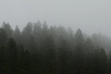 Landscape, Nature, Dual Screen Wallpapers HD